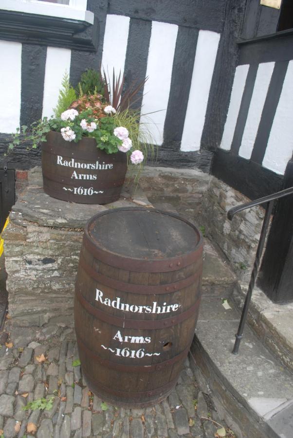 The Radnorshire Arms Hotel Presteigne Eksteriør bilde